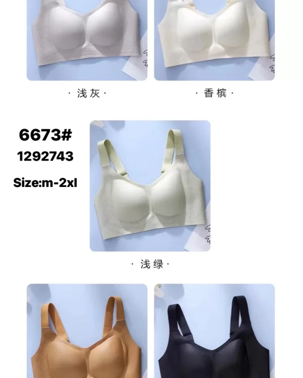 Wholesale Bra (6673) - China lingerie manufacturer & supplier