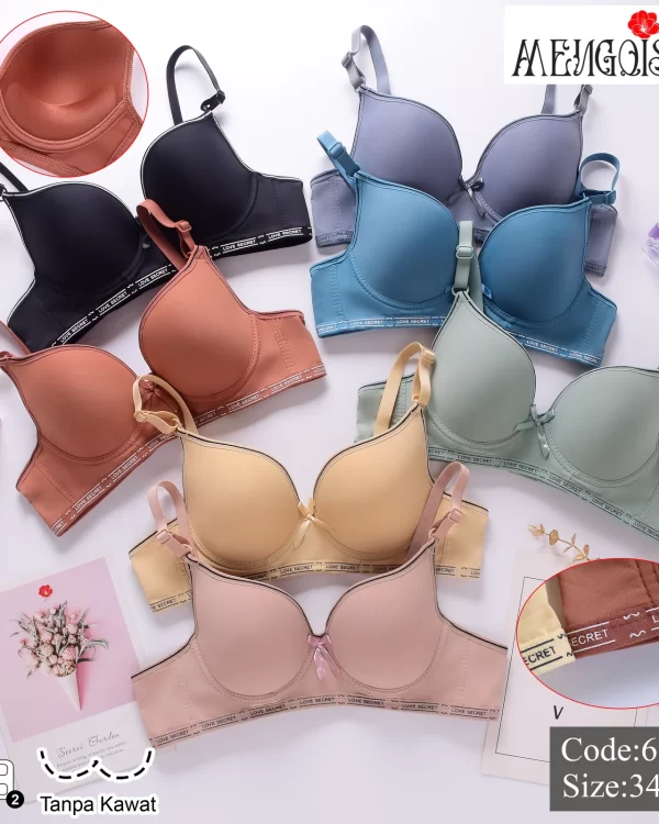 Wholesale Bra (6677) - China lingerie manufacturer & supplier