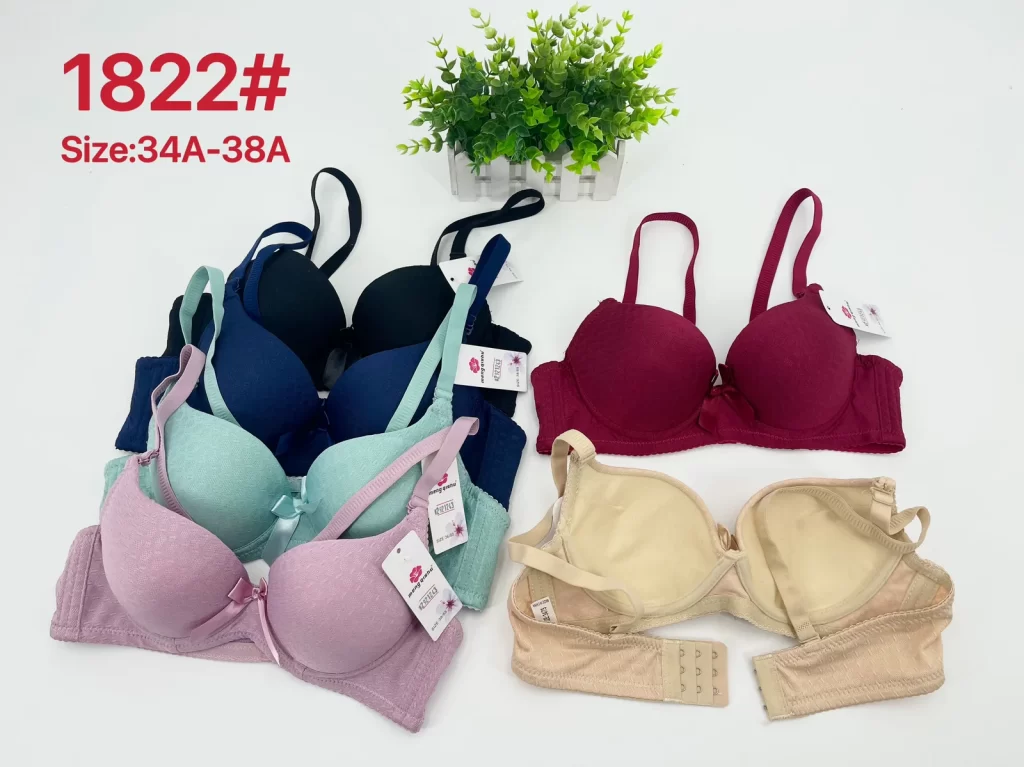Wholesale Bra A Cup (1822) - China lingerie manufacturer & supplier