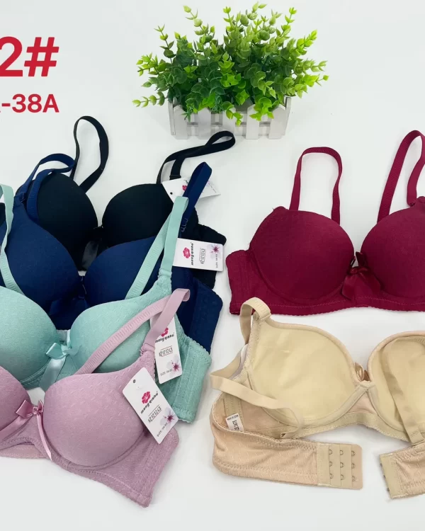 Wholesale Bra A Cup (1822) - China lingerie manufacturer & supplier