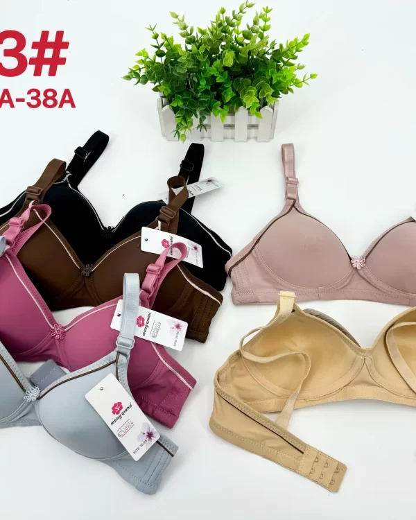 Wholesale Bra A Cup (203) - China lingerie manufacturer & supplier