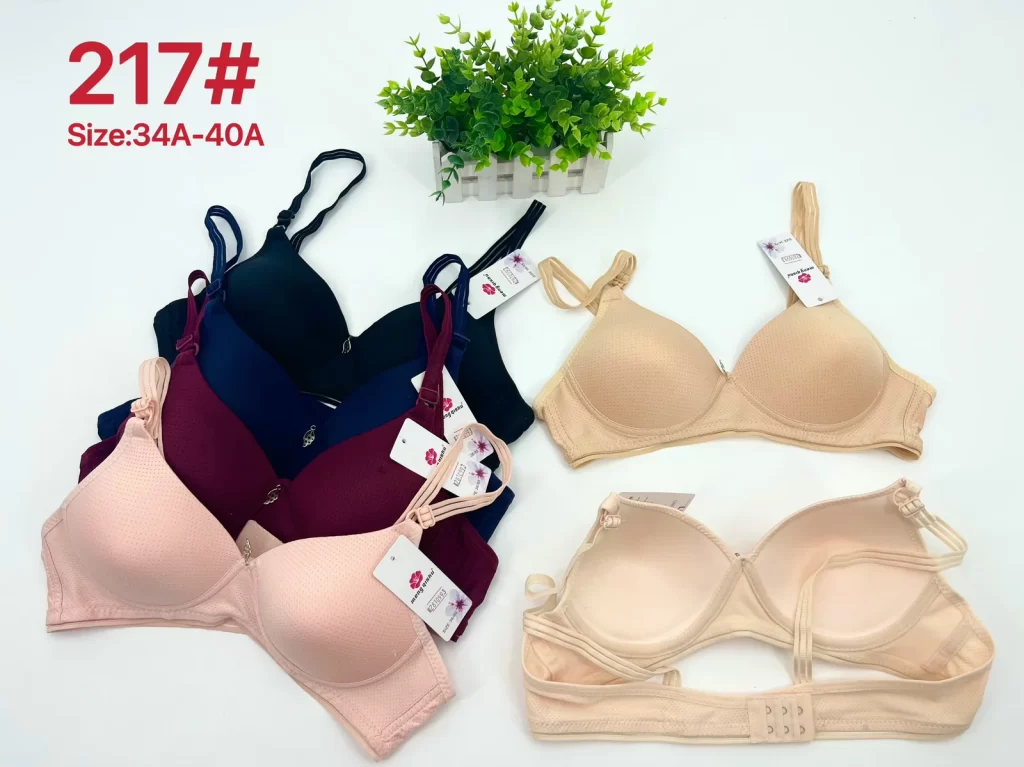Wholesale bra A cup model 217 from factory 281 - China lingerie manufacturer & supplier