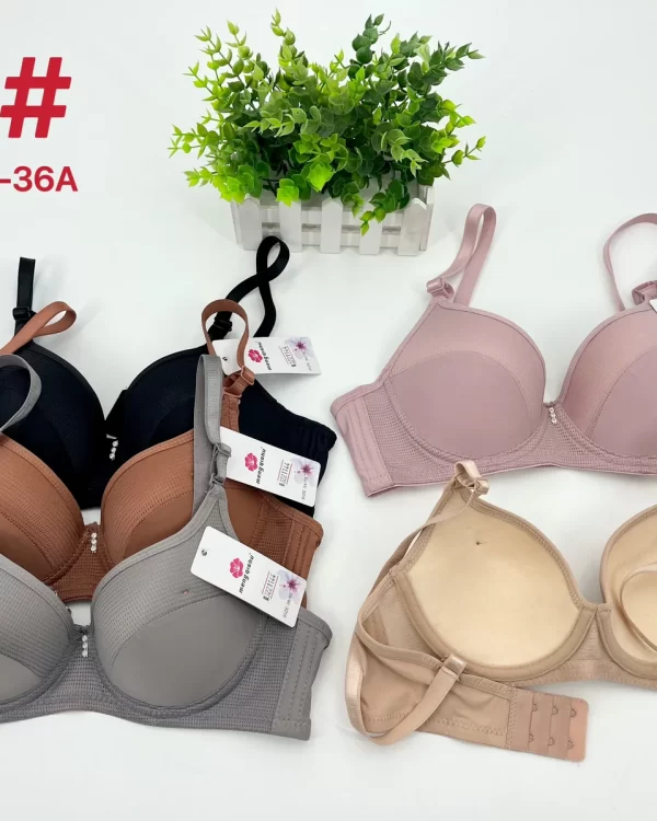Wholesale Bra A Cup (E6) - China lingerie manufacturer & supplier