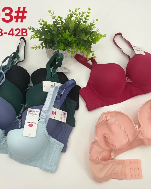 Wholesale Bra B Cup (2203) - China lingerie manufacturer & supplier