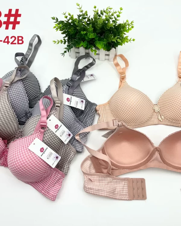 Wholesale Bra B Cup (318) - China lingerie manufacturer & supplier