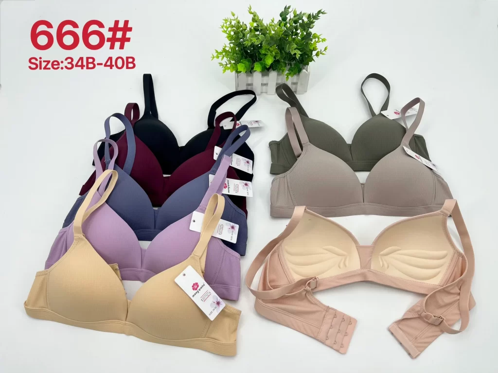 Wholesale Bra B Cup (666) - China lingerie manufacturer & supplier