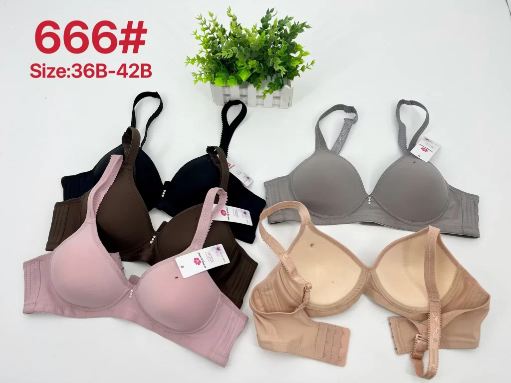 Wholesale Bra B Cup (666) - China lingerie manufacturer & supplier