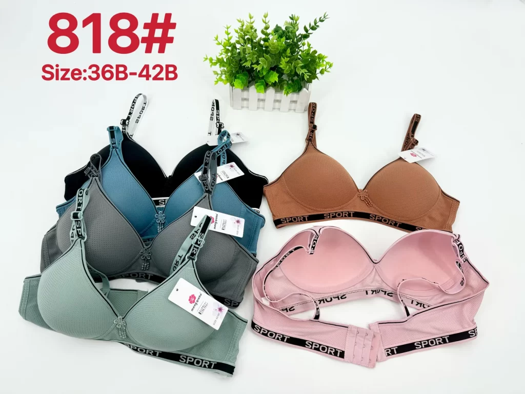 Wholesale Bra B Cup (818) - China lingerie manufacturer & supplier