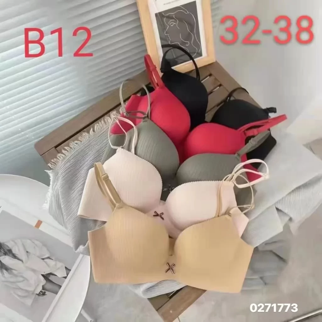 Wholesale Bra (B12) - China lingerie manufacturer & supplier