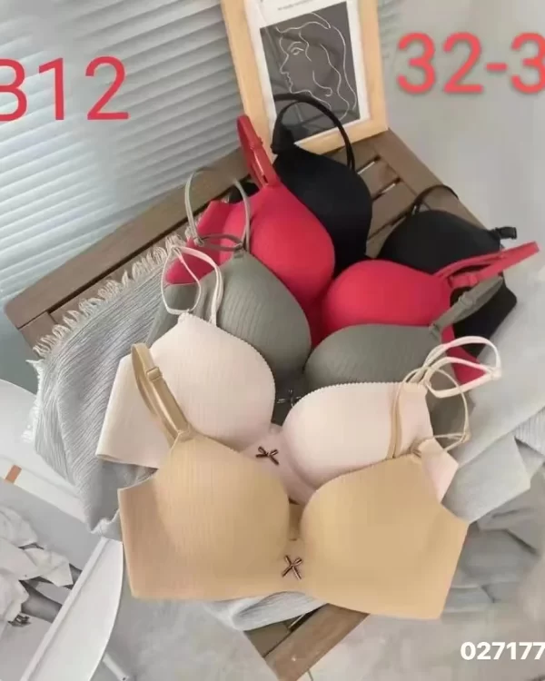 Wholesale Bra (B12) - China lingerie manufacturer & supplier