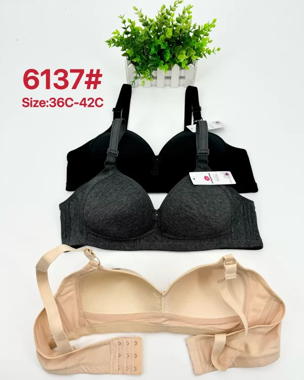 Wholesale Bra C Cup (6137) - China lingerie manufacturer & supplier