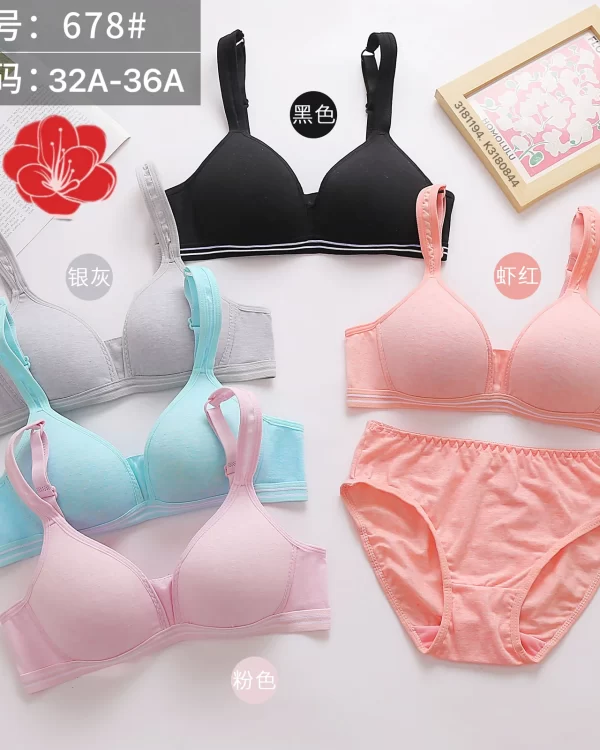 Wholesale Bra Set A Cup (678) - China lingerie manufacturer & supplier