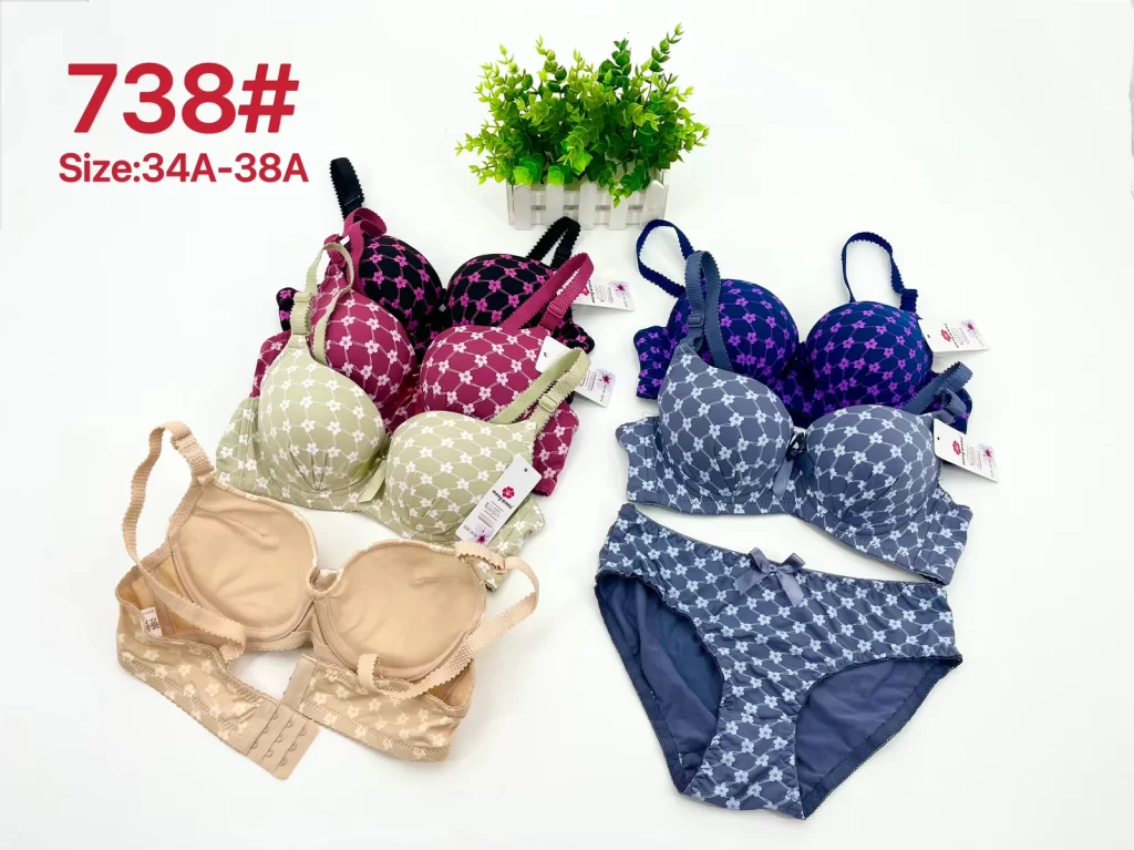 Wholesale Bra Set A cup model 738 from factory 280 - China lingerie manufacturer & supplier