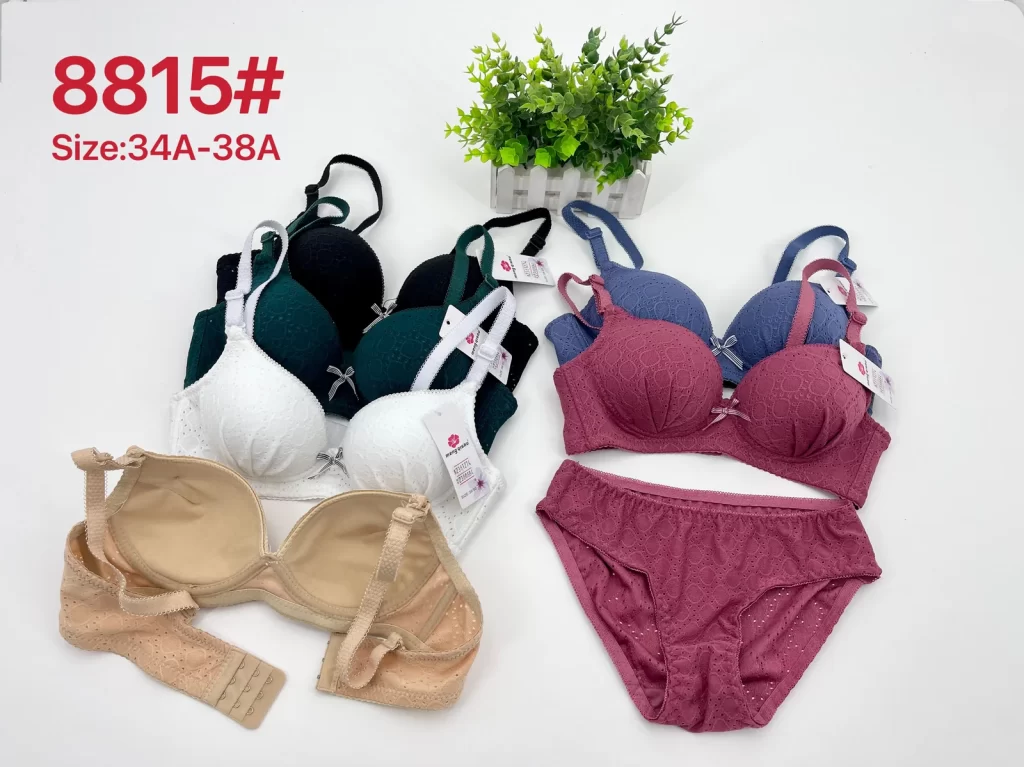 Wholesale Lace Trim Bra Set A Cup (8815) - China lingerie manufacturer & supplier
