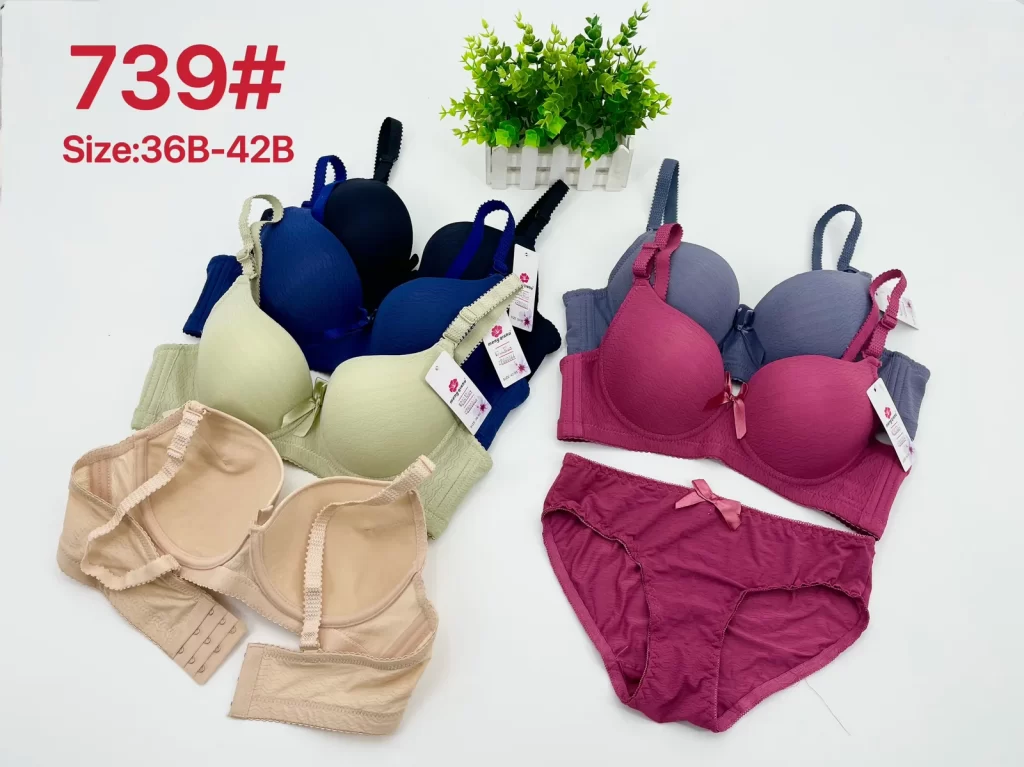Wholesale Bra Set B Cup (739) - China lingerie manufacturer & supplier