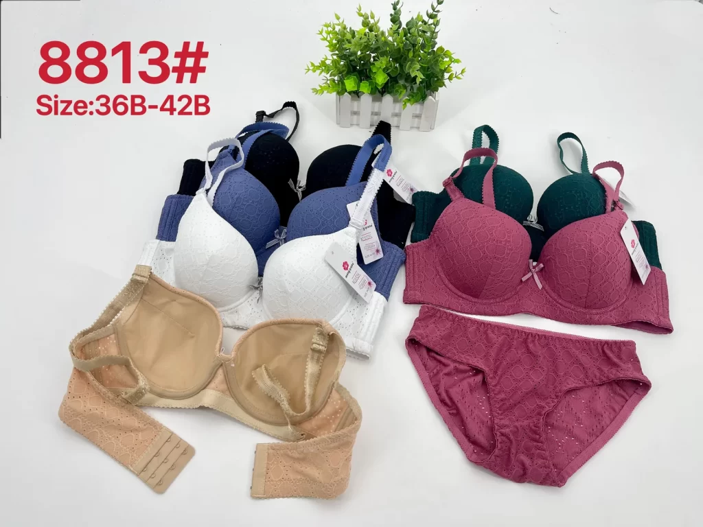 Wholesale Lace Trim Bra Set B Cup (8813) - China lingerie manufacturer & supplier