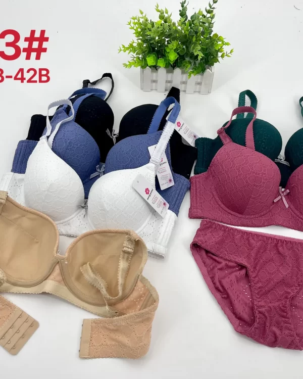 Wholesale Lace Trim Bra Set B Cup (8813) - China lingerie manufacturer & supplier