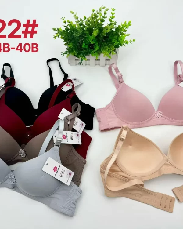 Wholesale Floral Print Bra B Cup (1822) - China lingerie manufacturer & supplier