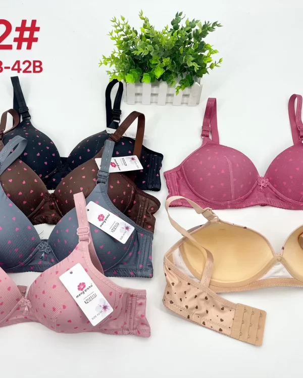 Wholesale Floral Print Striped Bra B Cup (622) - China lingerie manufacturer & supplier