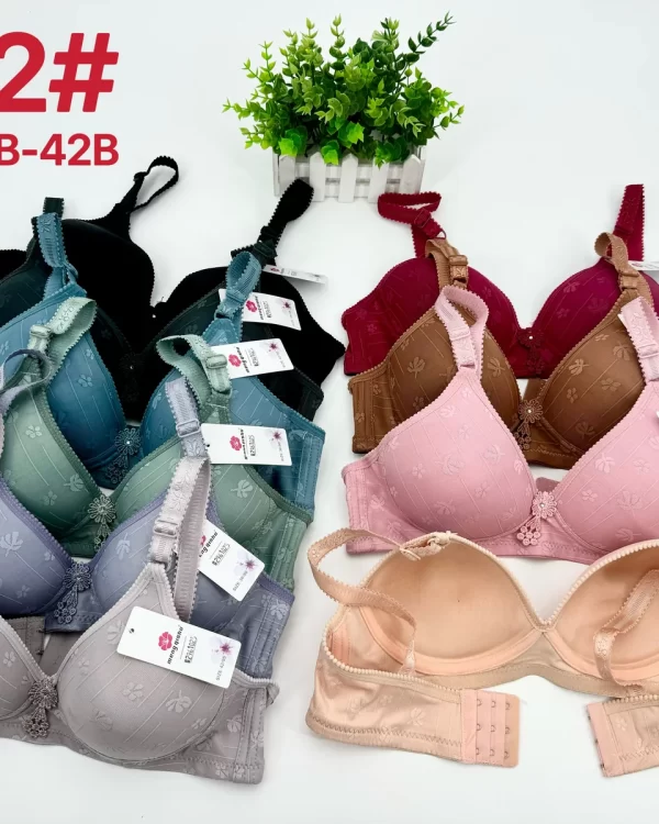 Wholesale Floral Print Jacquard Bra B Cup (802) - China lingerie manufacturer & supplier