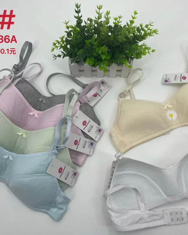 Wholesale Girls Bra A Cup (231) - China lingerie manufacturer & supplier