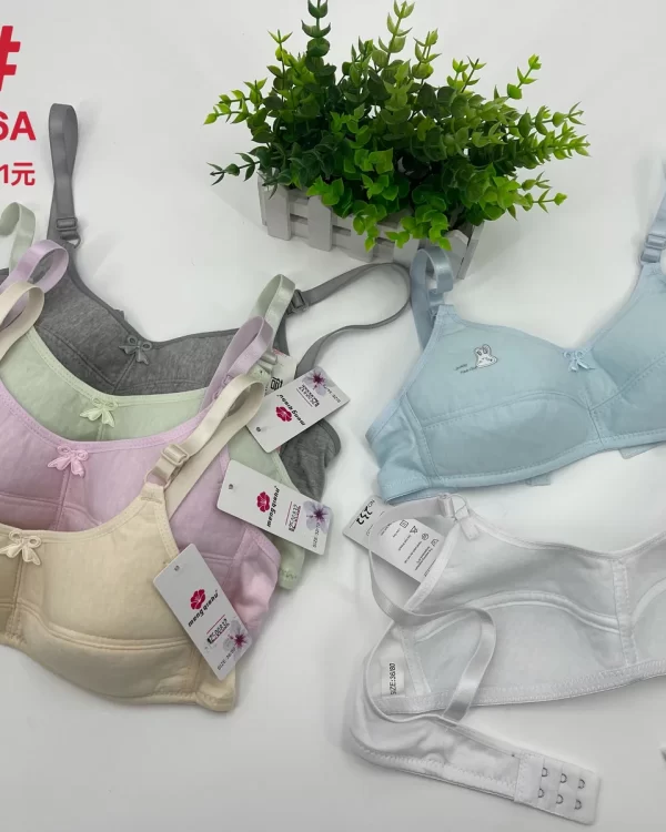 Wholesale Girls Floral Print Bra A Cup (232) - China lingerie manufacturer & supplier