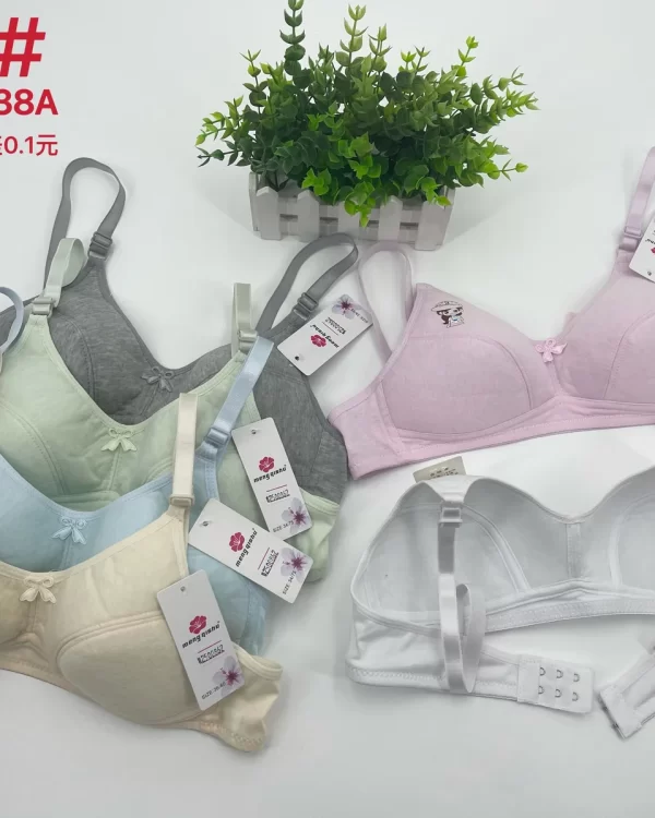 Wholesale Girls Floral Print Bra A Cup (235) - China lingerie manufacturer & supplier