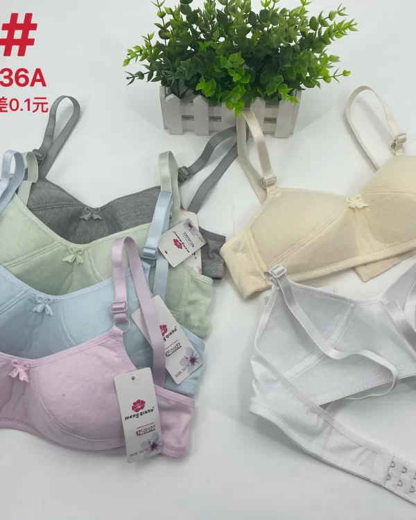 Wholesale Girls Bra A Cup (239) - China lingerie manufacturer & supplier