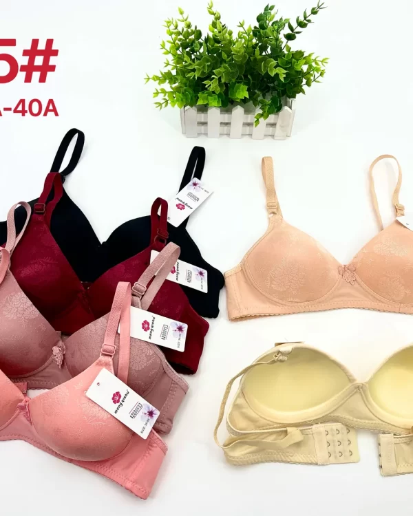 Wholesale Jacquard Bra A Cup (255) - China lingerie manufacturer & supplier