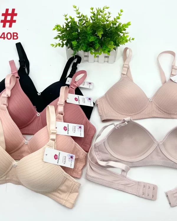 Wholesale Jacquard Striped Bra B Cup (315) - China lingerie manufacturer & supplier