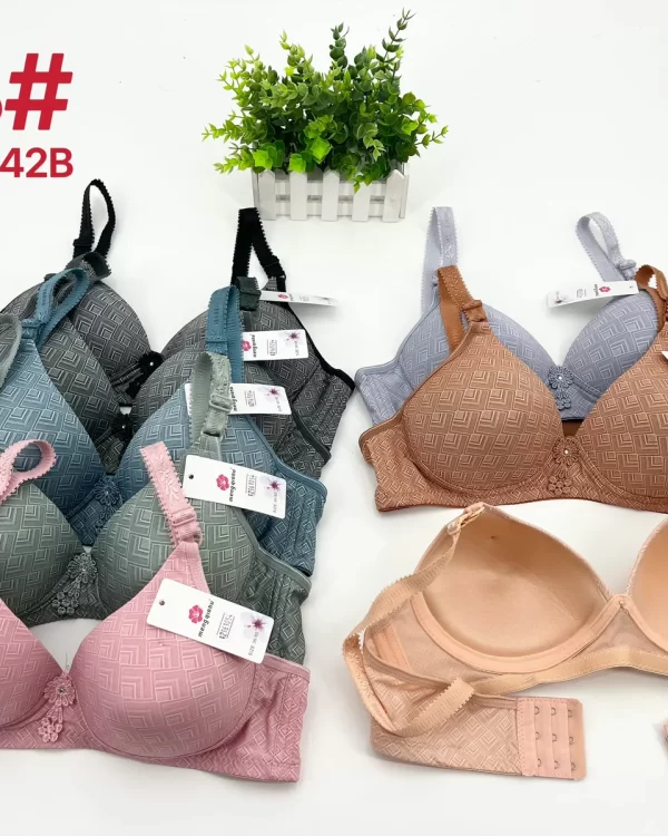 Wholesale Jacquard Bra B Cup (318) - China lingerie manufacturer & supplier