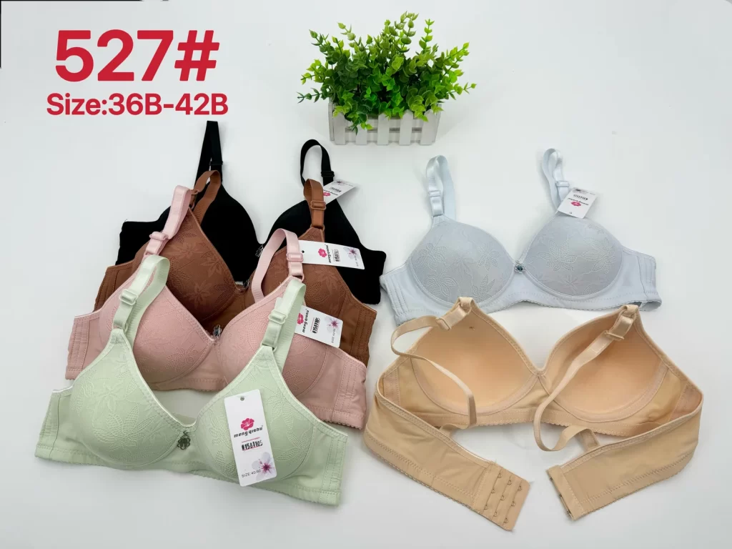 Wholesale Jacquard Bra B Cup (527) - China lingerie manufacturer & supplier