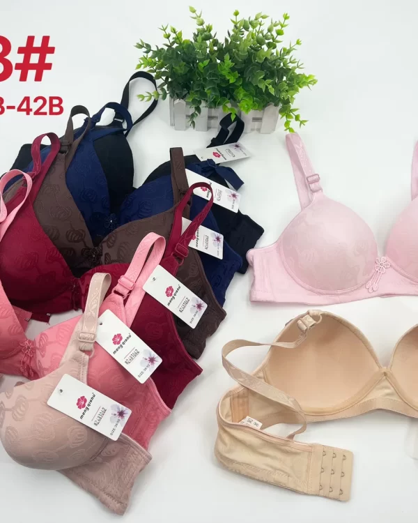 Wholesale Jacquard Bra B Cup (613) - China lingerie manufacturer & supplier