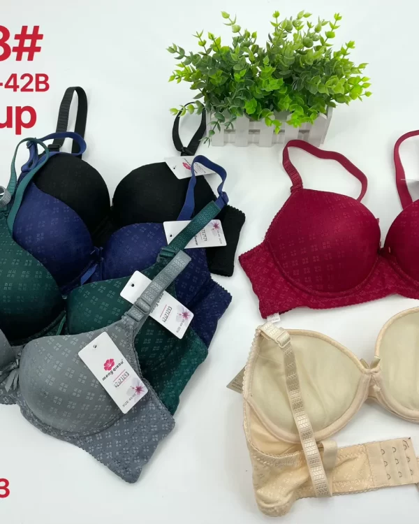 Wholesale Jacquard Bra B Cup (8868) - China lingerie manufacturer & supplier