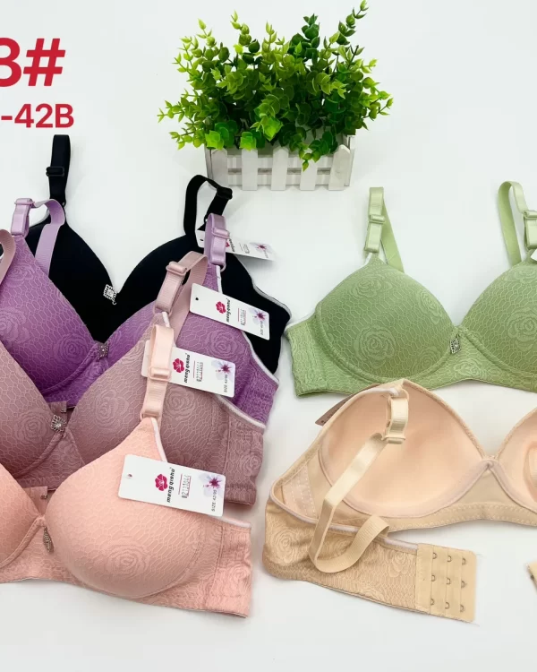 Wholesale Jacquard Bra B Cup (A133) - China lingerie manufacturer & supplier