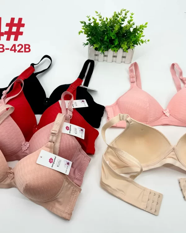Wholesale Jacquard Bra B Cup (A4) - China lingerie manufacturer & supplier