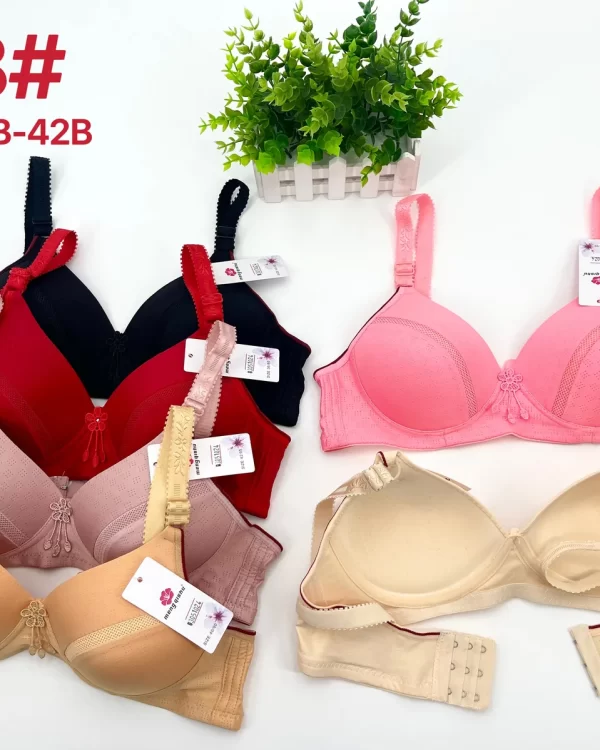 Wholesale Jacquard Bra B Cup (V8) - China lingerie manufacturer & supplier