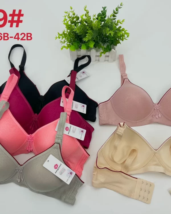 Wholesale Jacquard Bra B Cup (V9) - China lingerie manufacturer & supplier