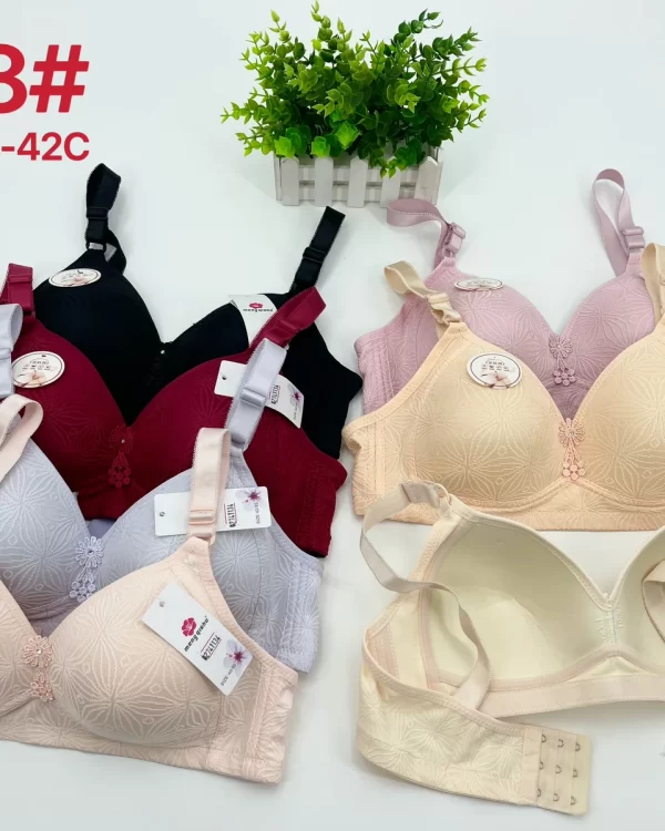 Wholesale Jacquard Bra C Cup (808) - China lingerie manufacturer & supplier