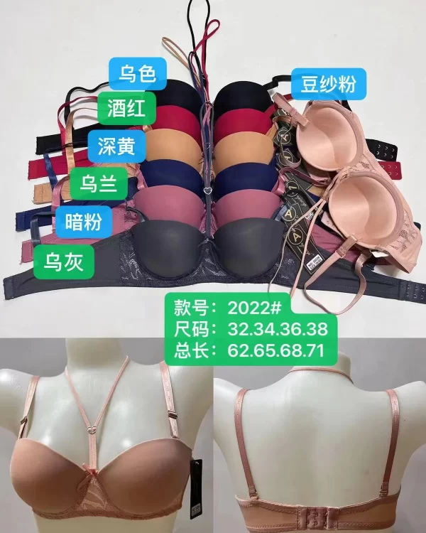 Wholesale Lace Trim bra A cup model 2022 from factory 307 - China lingerie manufacturer & supplier