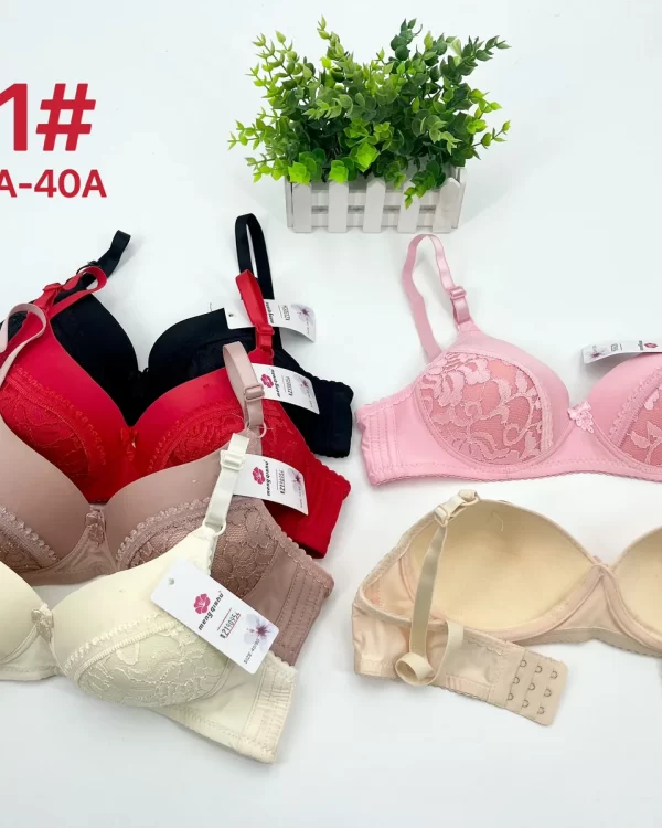 Wholesale Lace Trim Bra A Cup (A21) - China lingerie manufacturer & supplier