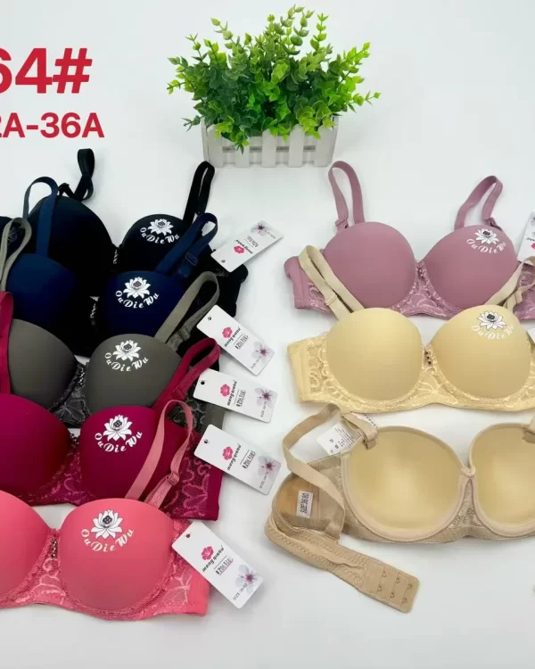 Wholesale Lace Trim Bra A Cup (A864) - China lingerie manufacturer & supplier