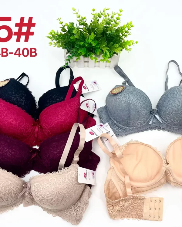 Wholesale Lace Trim Jacquard Bra B Cup (115) - China lingerie manufacturer & supplier