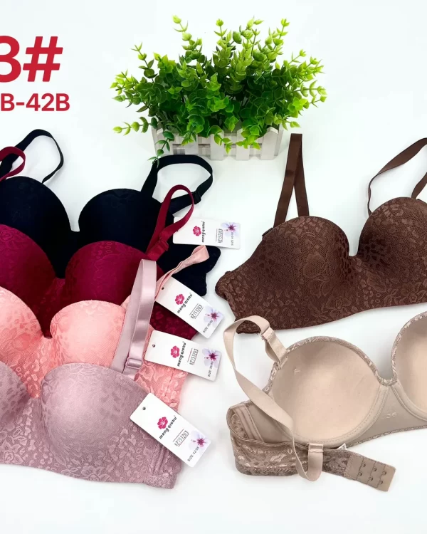 Wholesale Lace Trim Bra B Cup (123) - China lingerie manufacturer & supplier