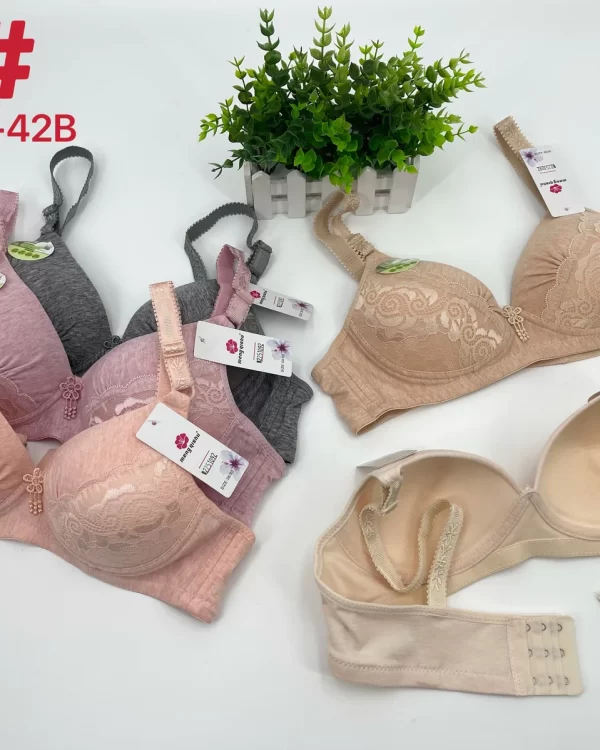 Wholesale Lace Trim Bra B Cup (13) - China lingerie manufacturer & supplier