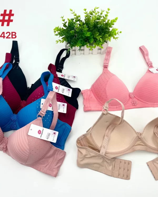 Wholesale Lace Trim Striped Bra B Cup (316) - China lingerie manufacturer & supplier
