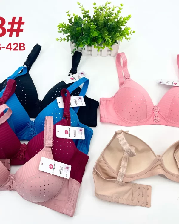 Wholesale Lace Trim Striped Bra B Cup (318) - China lingerie manufacturer & supplier