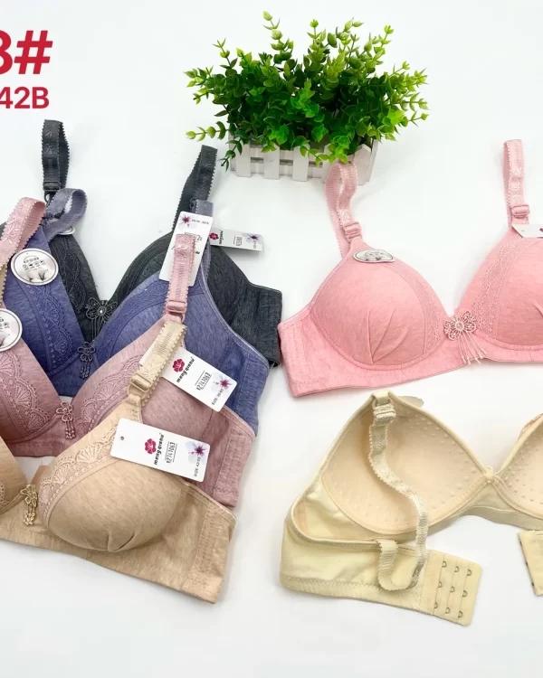 Wholesale Lace Trim Bra B Cup (3288) - China lingerie manufacturer & supplier