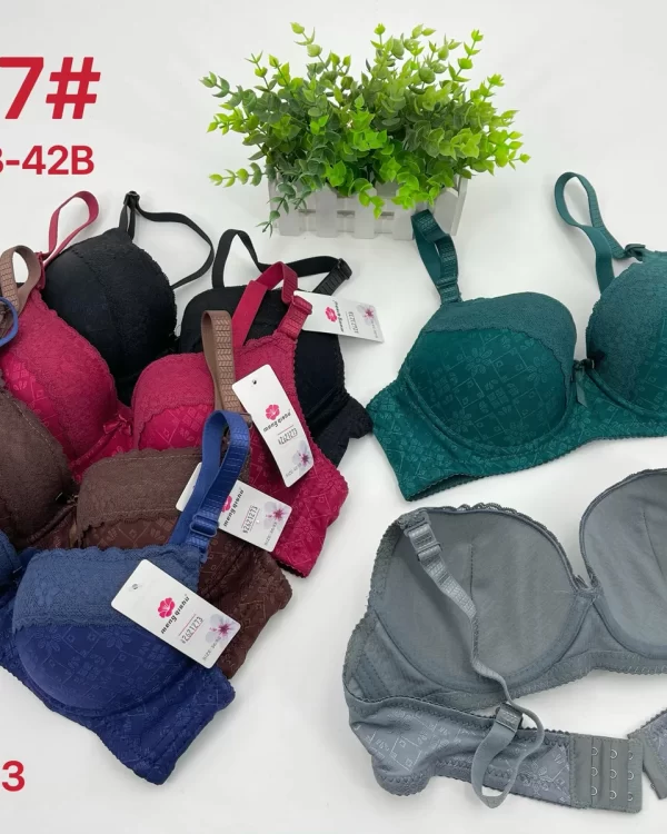 Wholesale Lace Trim Jacquard Bra B Cup (5537) - China lingerie manufacturer & supplier