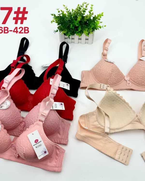 Wholesale Lace Trim Bra B Cup (617) - China lingerie manufacturer & supplier